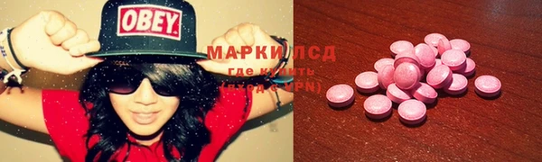 ГАЛЛЮЦИНОГЕННЫЕ ГРИБЫ Майский