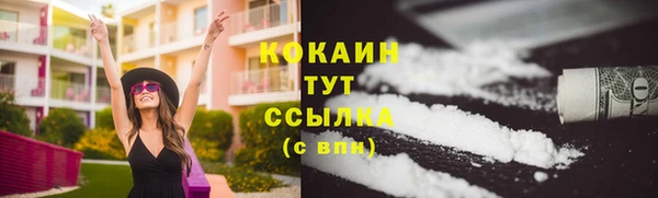 ГАЛЛЮЦИНОГЕННЫЕ ГРИБЫ Майский