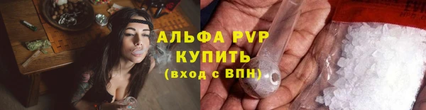 ГАЛЛЮЦИНОГЕННЫЕ ГРИБЫ Майский
