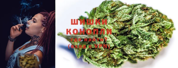ГАЛЛЮЦИНОГЕННЫЕ ГРИБЫ Майский