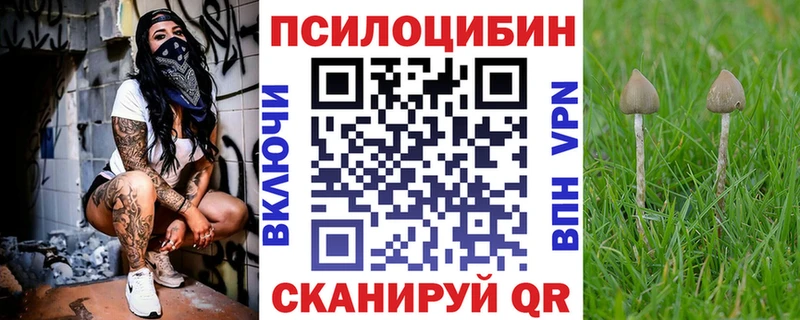 Псилоцибиновые грибы мицелий  где купить   Щёлкино 